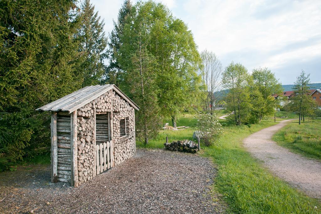 Pension Tannenheim Schluchsee Exterior photo