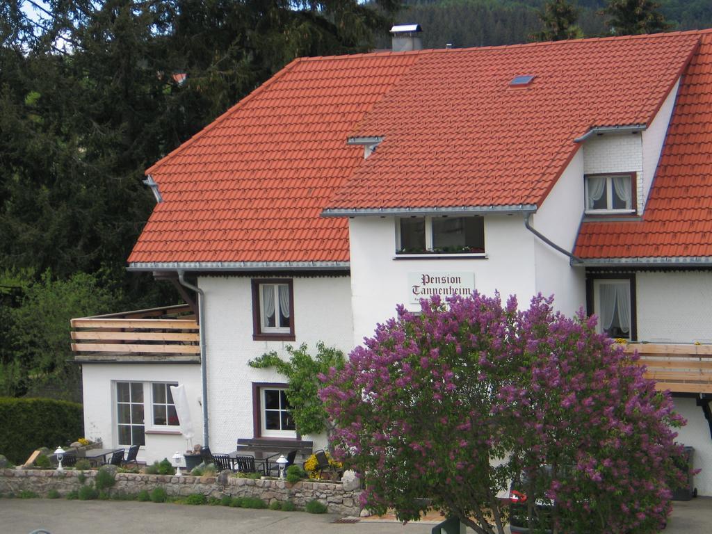 Pension Tannenheim Schluchsee Exterior photo