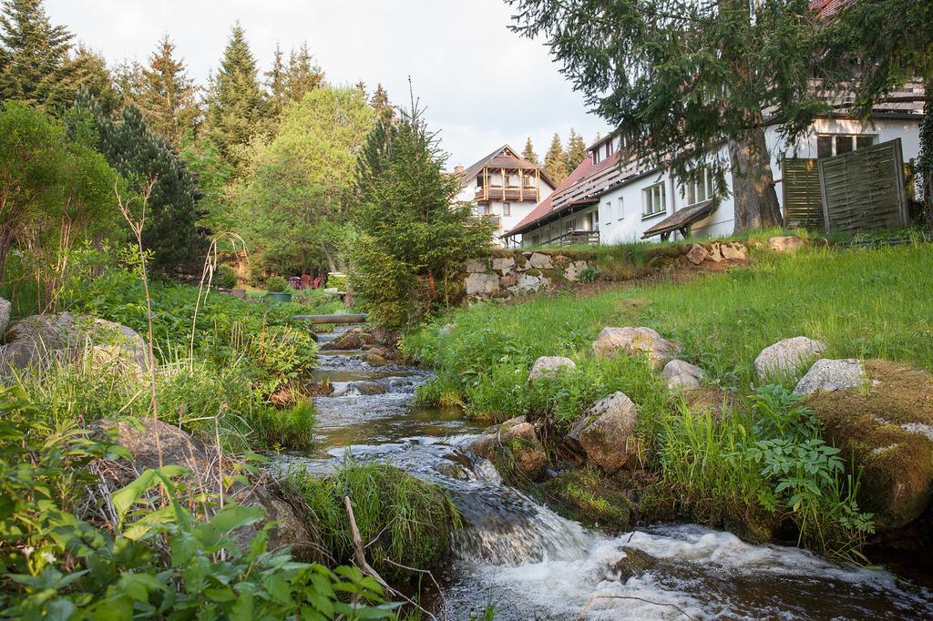 Pension Tannenheim Schluchsee Exterior photo